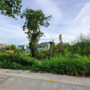 出售地皮-泰国-春武里-368-平方米-0-01