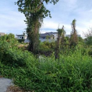 出售地皮-泰国-春武里-368-平方米-181.69-01