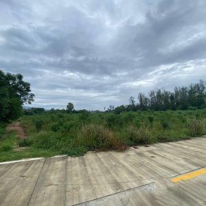 出售地皮-泰国-春武里-38228-平方米-79.29-01