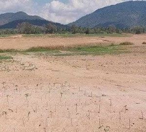 出售地皮-泰国-春武里-388800-平方米-53.58-01