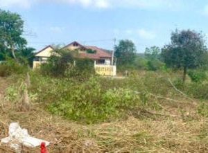 出售地皮-泰国-春武里-400-平方米-84.86-01