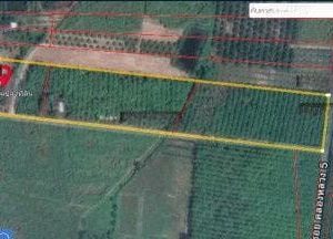 出售地皮-泰国-春武里-40264-平方米-25.75-01