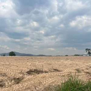 出售地皮-泰国-春武里-40516-平方米-60-01