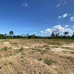 出售地皮-泰国-春武里-4456-平方米-146.2-01