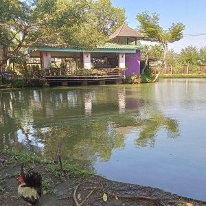 出售地皮-泰国-春武里-4560-平方米-187.98-01