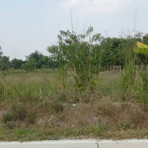 出售地皮-泰国-春武里-47748-平方米-94.09-01