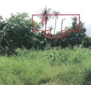 出售地皮-泰国-春武里-4780-平方米-50.23-01