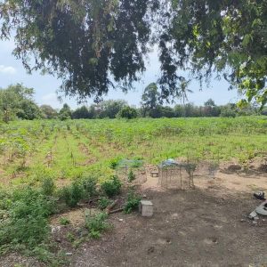 出售地皮-泰国-春武里-4800-平方米-96.43-01