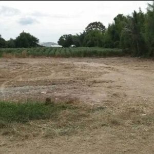 出售地皮-泰国-春武里-4956-平方米-62.29-01