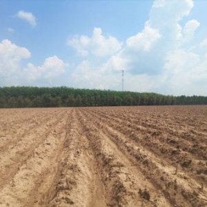 出售地皮-泰国-春武里-49968-平方米-13.95-01