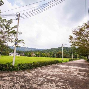 出售地皮-泰国-春武里-507.6-平方米-312.06-01