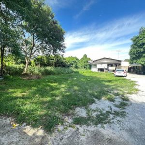 出售地皮-泰国-春武里-560-平方米-195.95-01