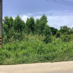 出售地皮-泰国-春武里-5600-平方米-42.86-01