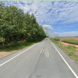 出售地皮-泰国-春武里-63146-平方米-53.23-01