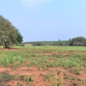 出售地皮-泰国-春武里-63288-平方米-13.95-01