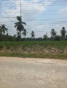 出售地皮-泰国-春武里-66092-平方米-74.2-01