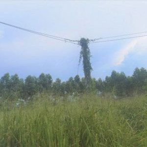 出售地皮-泰国-春武里-7332-平方米-16.09-01