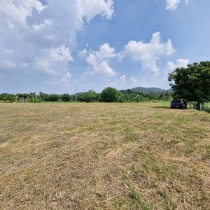 出售地皮-泰国-春武里-7608-平方米-85.63-01