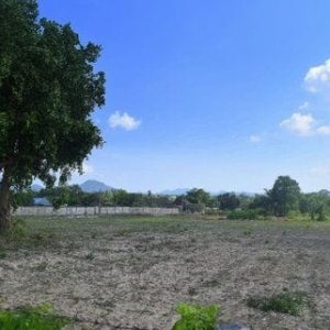 出售地皮-泰国-春武里-7760-平方米-97.23-01