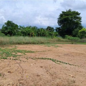 出售地皮-泰国-春武里-800-平方米-42.86-01