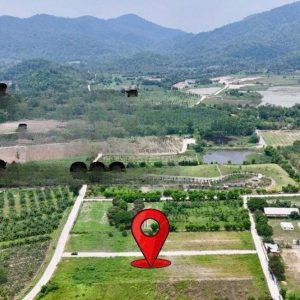 出售地皮-泰国-春武里-800-平方米-85.72-01