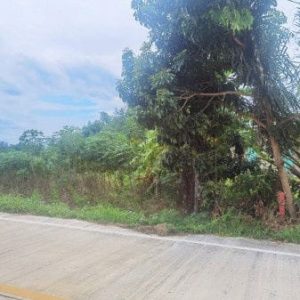 出售地皮-泰国-春武里-8000-平方米-53.58-01