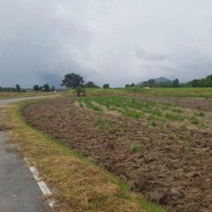 出售地皮-泰国-春武里-8000-平方米-75-01