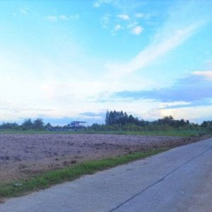 出售地皮-泰国-春武里-8140-平方米-14.18-01