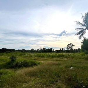 出售地皮-泰国-春武里-8812-平方米-77.83-01