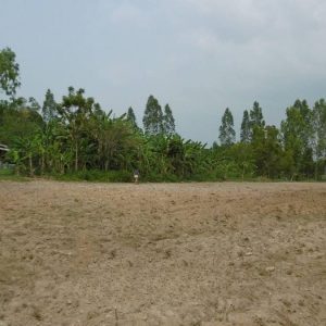 出售地皮-泰国-春武里-8844-平方米-45-01