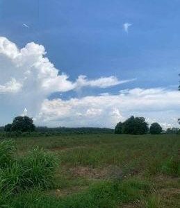 出售地皮-泰国-春武里-89600-平方米-75-01