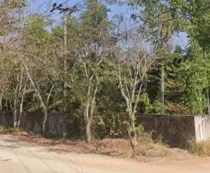 出售地皮-泰国-春武里-92800-平方米-14.8-01