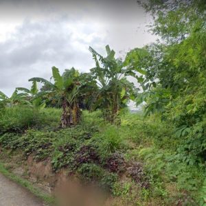 出售地皮-泰国-普吉-1036-平方米-297.86-01