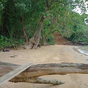 出售地皮-泰国-普吉-104500-平方米-533.18-01