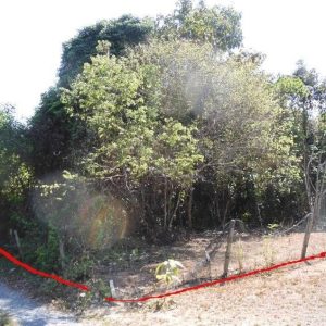 出售地皮-泰国-普吉-1160-平方米-266.03-01