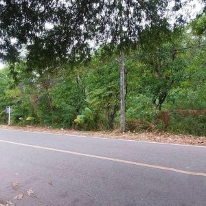 出售地皮-泰国-普吉-13748-平方米-643.03-01