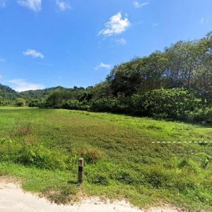 出售地皮-泰国-普吉-14076-平方米-96.23-01