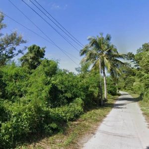 出售地皮-泰国-普吉-1600-平方米-257.15-01