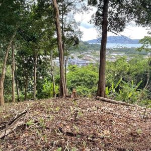 出售地皮-泰国-普吉-16000-平方米-900-01