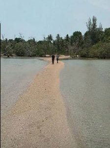 出售地皮-泰国-普吉-163200-平方米-321.43-01