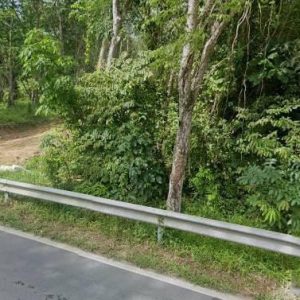 出售地皮-泰国-普吉-17600-平方米-535.72-01