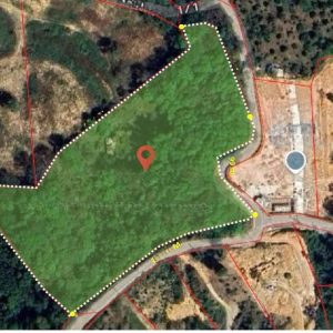 出售地皮-泰国-普吉-17703.2-平方米-321.52-01