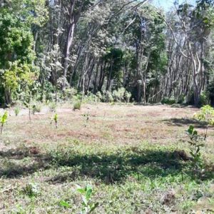 出售地皮-泰国-普吉-2400-平方米-96.09-01