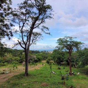 出售地皮-泰国-普吉-25600-平方米-150-01