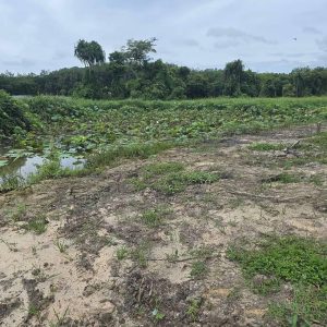 出售地皮-泰国-普吉-2800-平方米-171.43-01