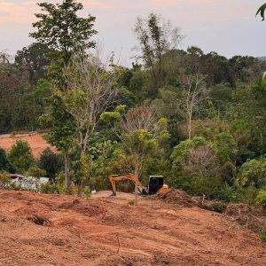 出售地皮-泰国-普吉-3656-平方米-647.09-01