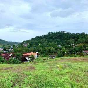 出售地皮-泰国-普吉-37240-平方米-202.58-01