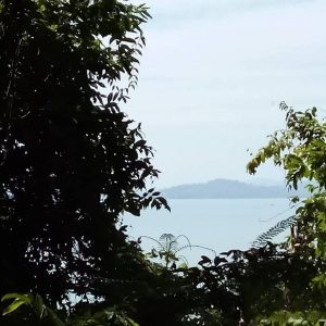 出售地皮-泰国-普吉-3828-平方米-320.66-01