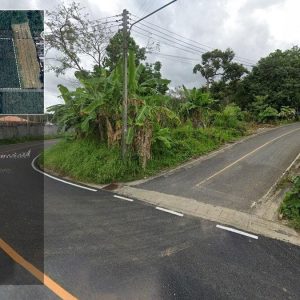 出售地皮-泰国-普吉-46293.2-平方米-117.78-01