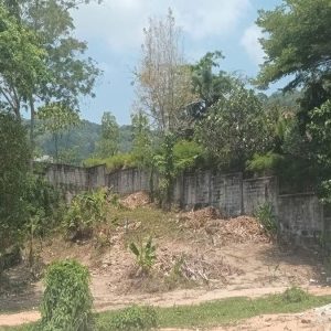 出售地皮-泰国-普吉-468-平方米-366.32-01